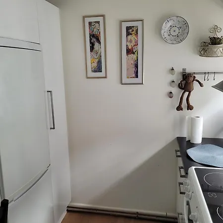 Skraedderens Baghus Tatil Evi *