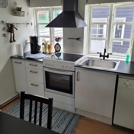 Skraedderens Baghus *