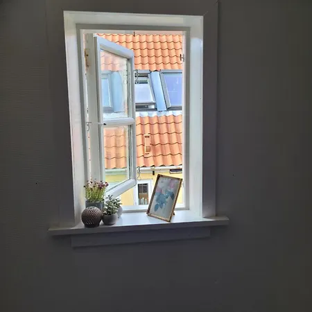 Skraedderens Baghus *