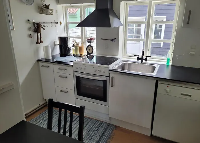 Skraedderens Baghus *